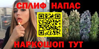 мдпв Абакан